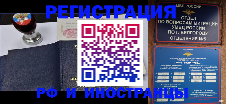 временная регистрация поиск в Благовещенске